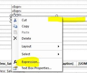 Report Builder Expression Shortcut